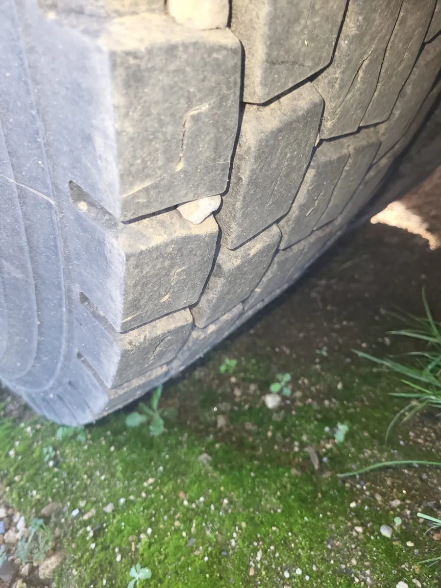 Man Ridgid Truck - Image 4