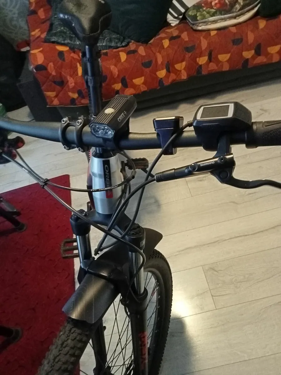 Electric Bike - Image 2