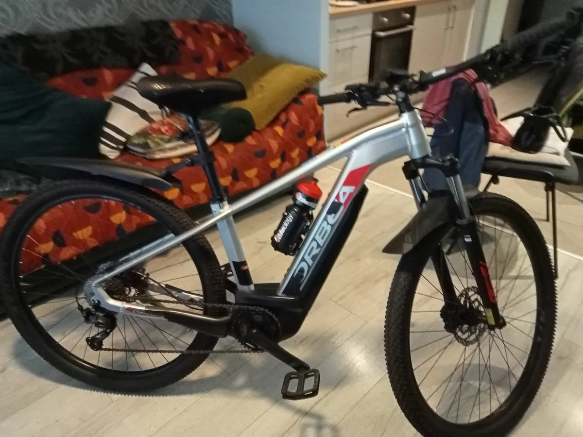 Electric Bike - Image 3