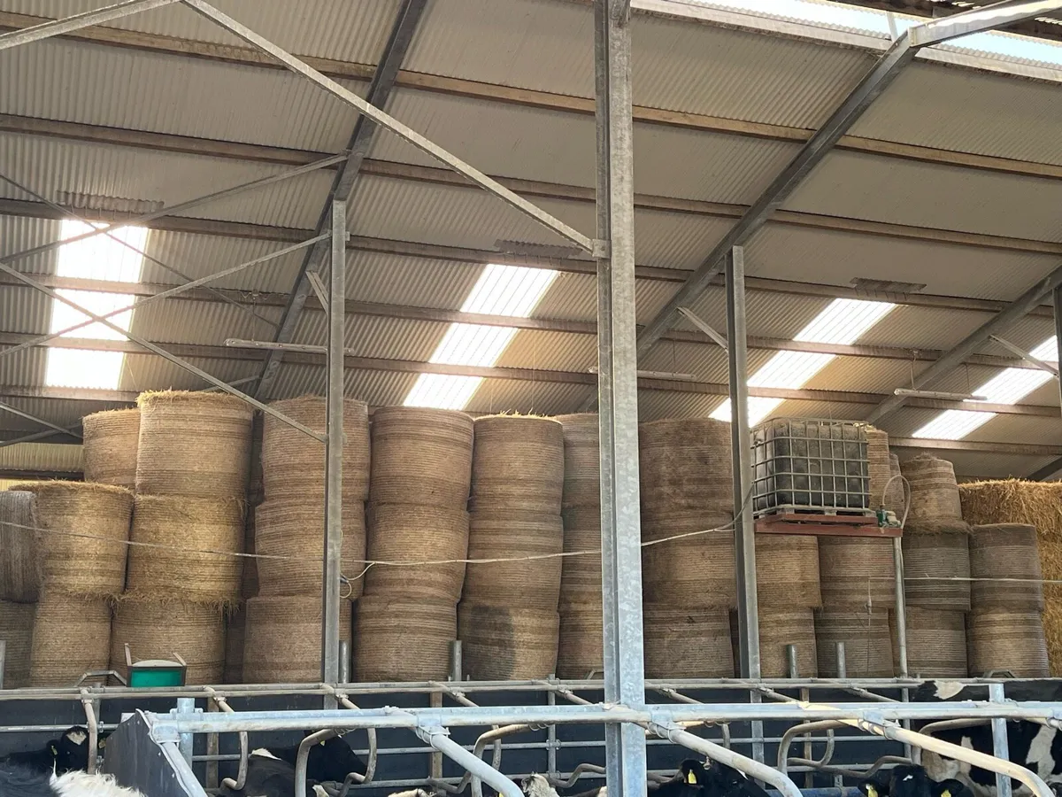 Round bales of hay - Image 2