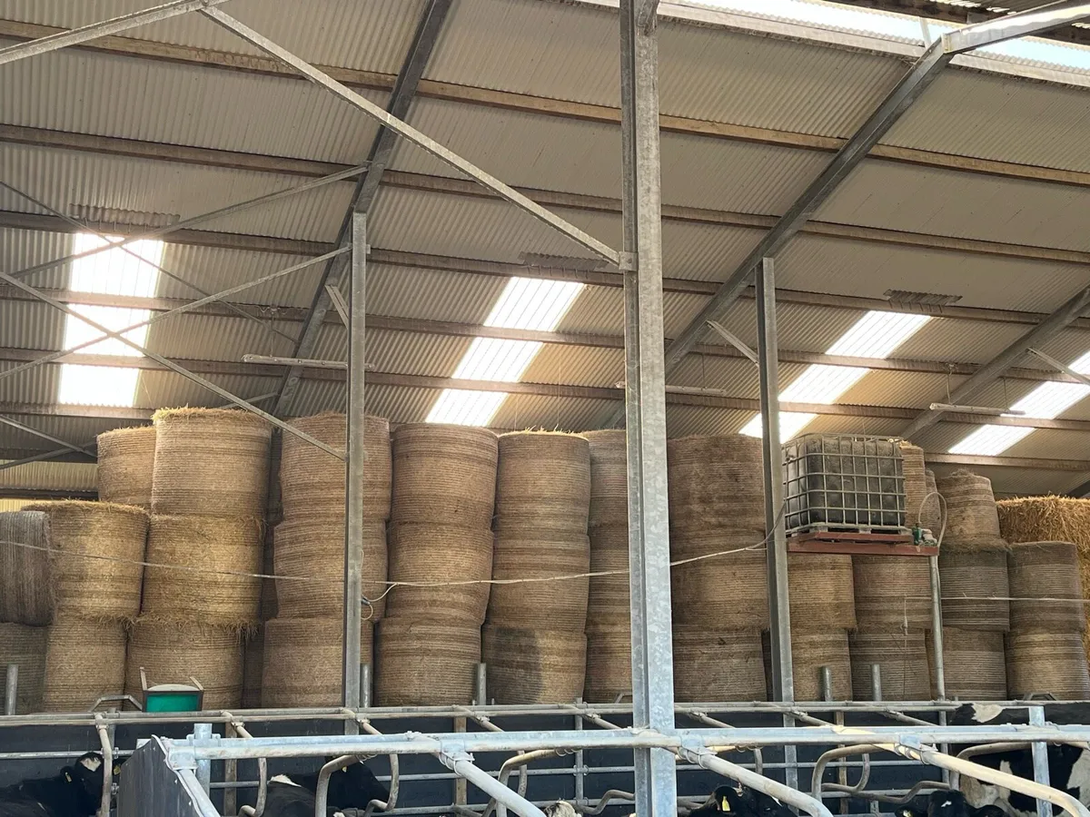 Round bales of hay - Image 3