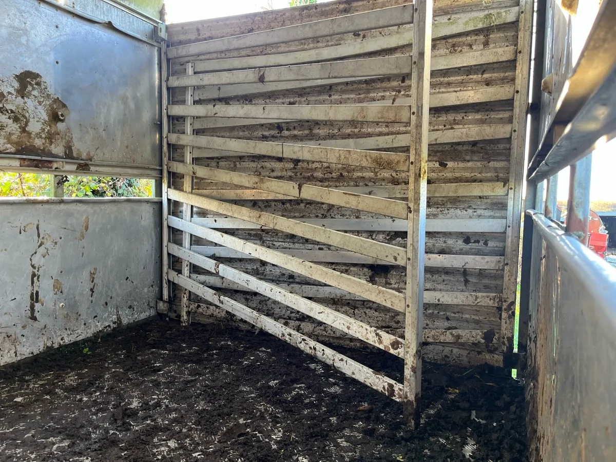 Cattle trailer - Image 4