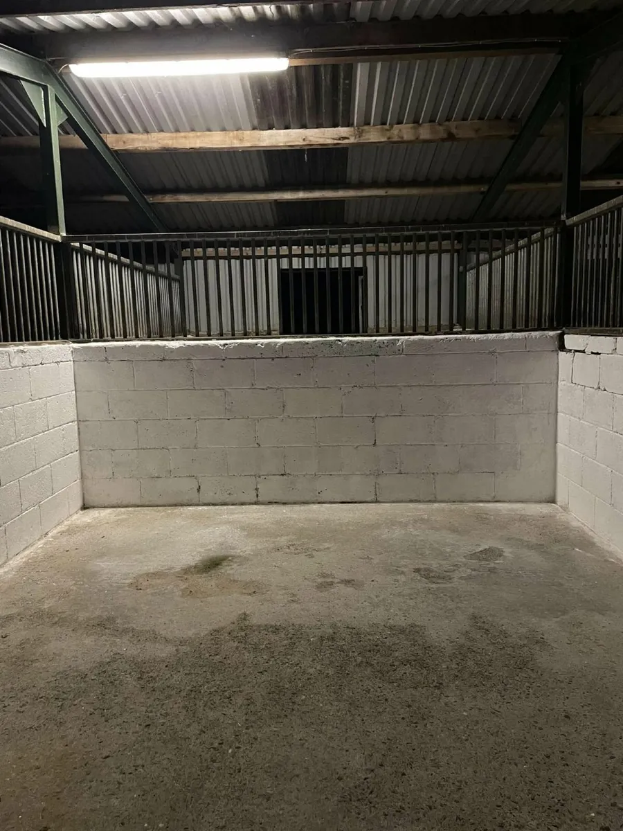 Livery yard opening in North county Dublin/Meath - Image 2