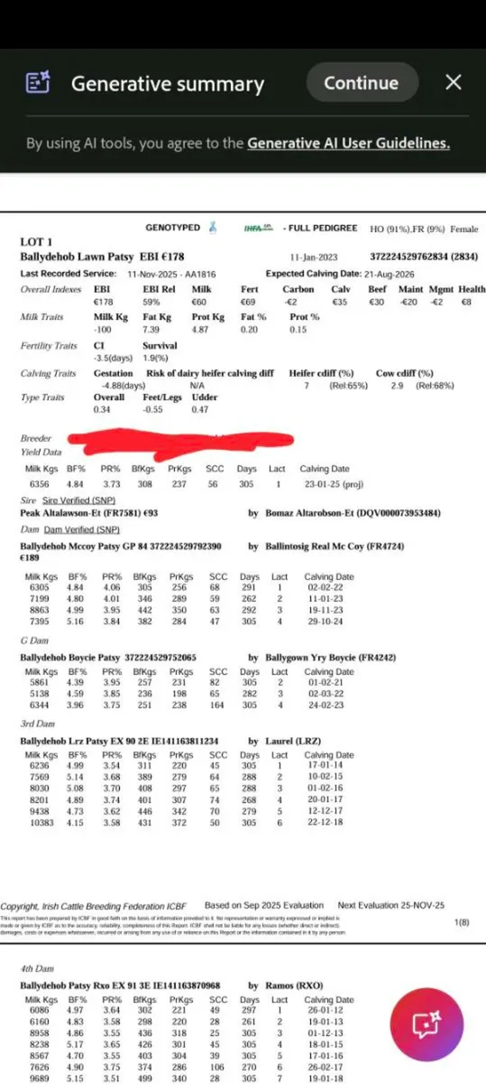 4 Autumn Dairy calving cows - Image 2