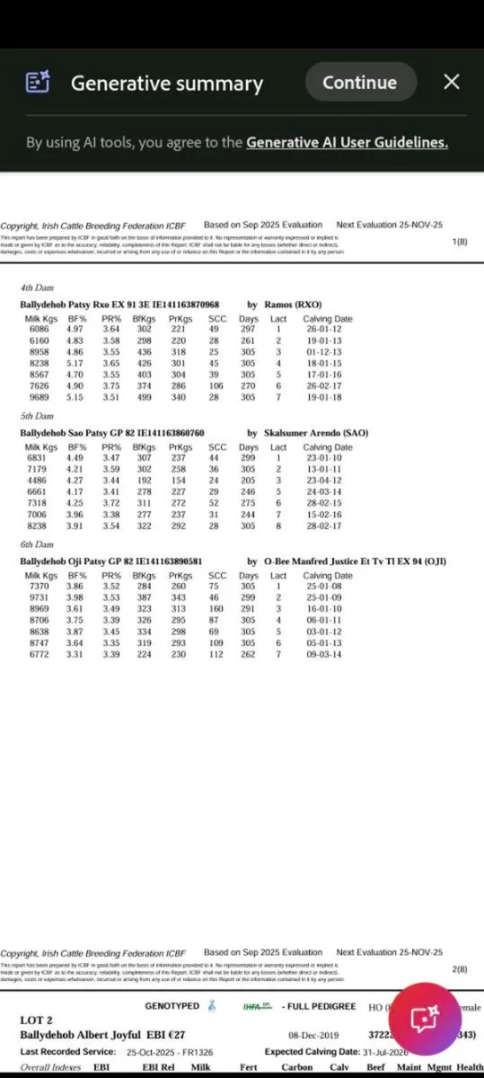 4 Autumn Dairy calving cows - Image 3
