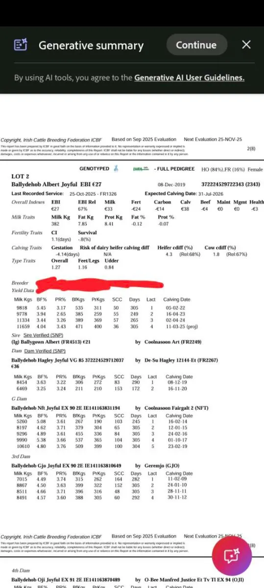 4 Autumn Dairy calving cows - Image 4