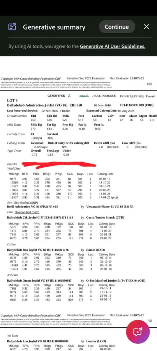 4 Autumn Dairy calving cows - Image 1