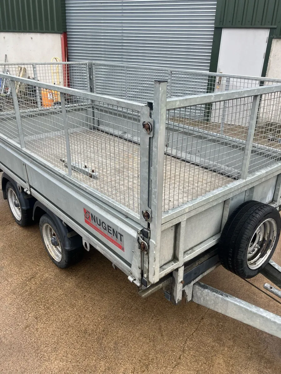 Nugent 10ft Dropside Mesh side - Image 2