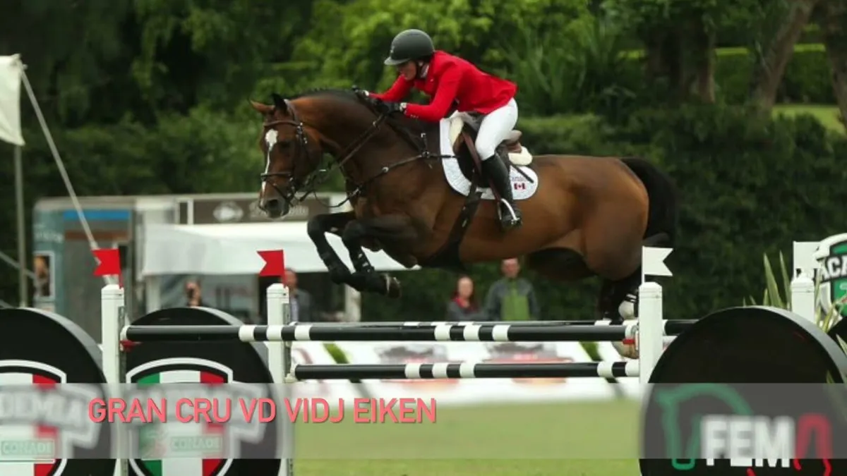 Grand Cru and Legaland Team Spirit foals - Image 3