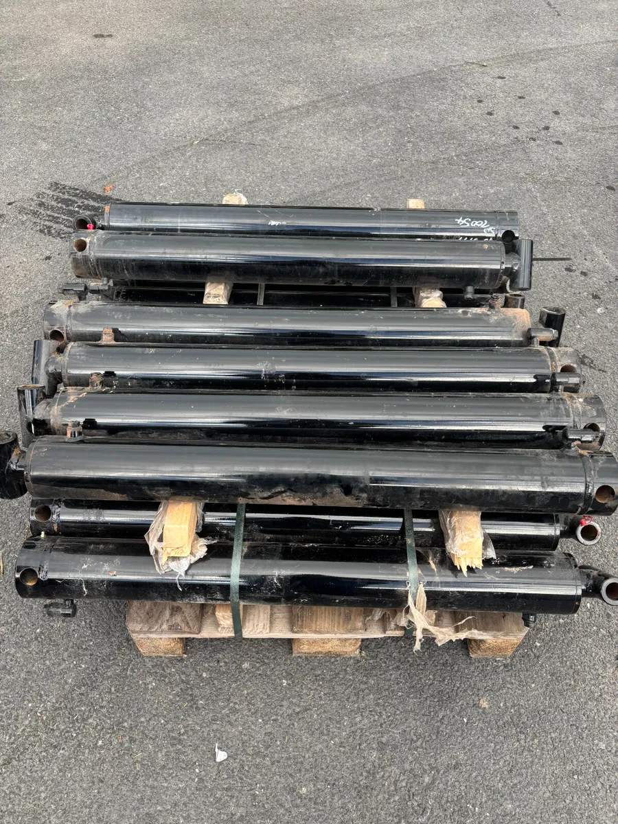 Various sized rams - Image 3