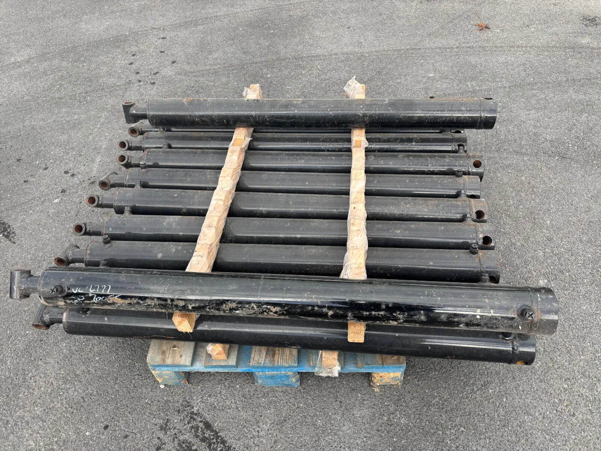 Various sized rams - Image 4