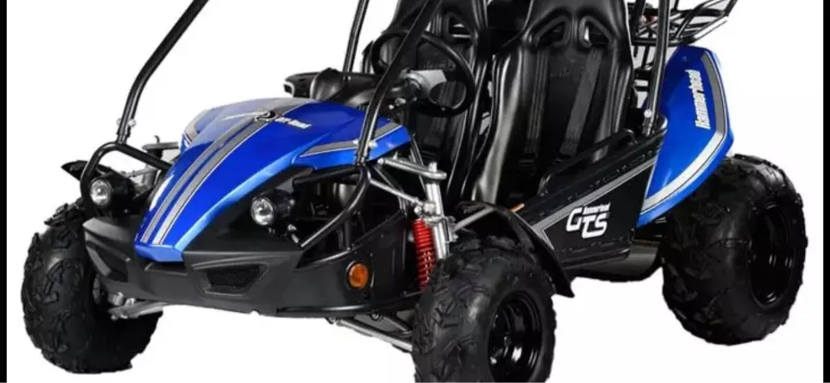 Hammerhead GTS 150 Buggy - Image 2
