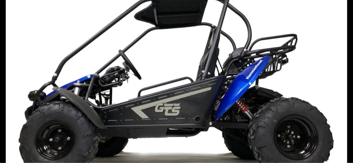 Hammerhead GTS 150 Buggy - Image 3