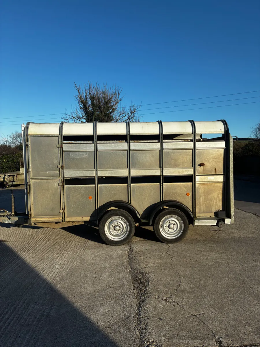 Ifor Williams 12x5 sheep trailer - Image 1