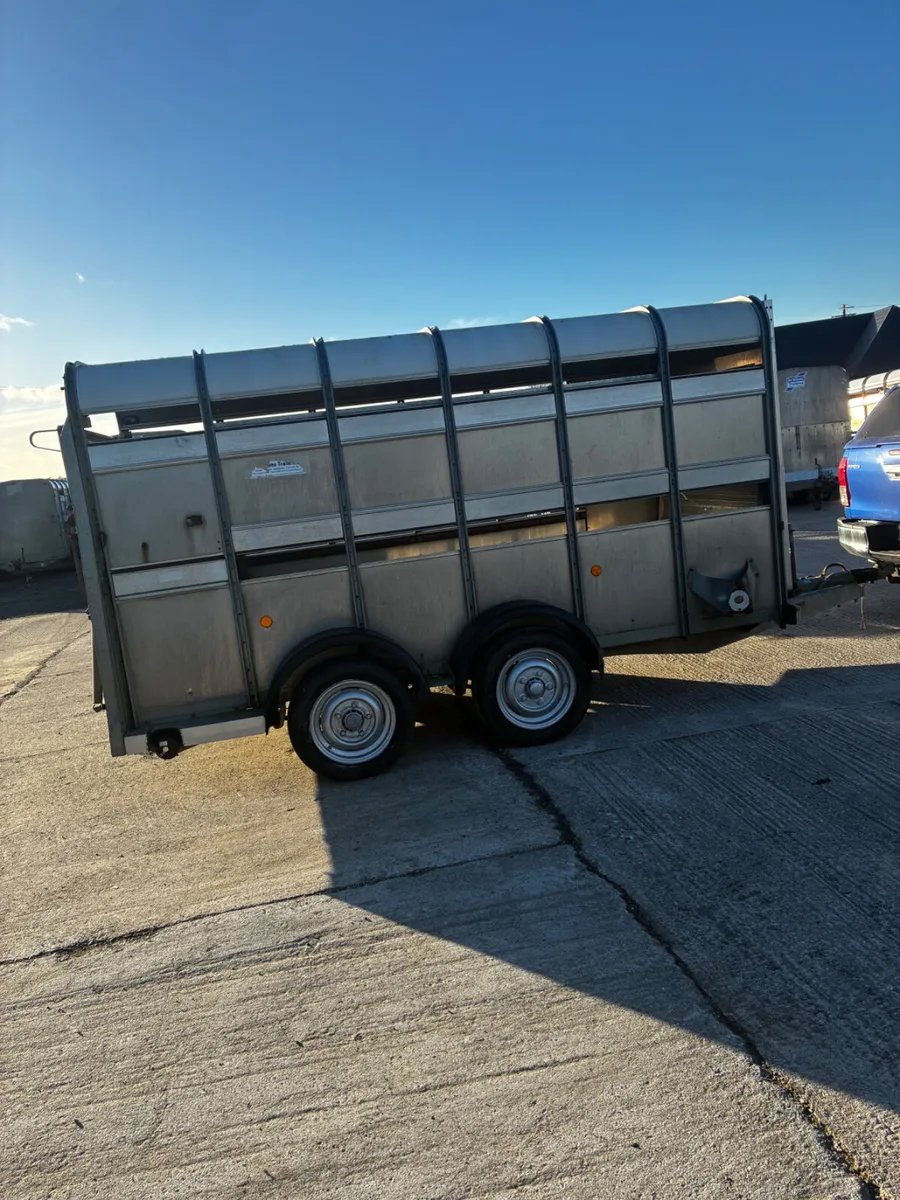Ifor Williams 12x5 sheep trailer - Image 3