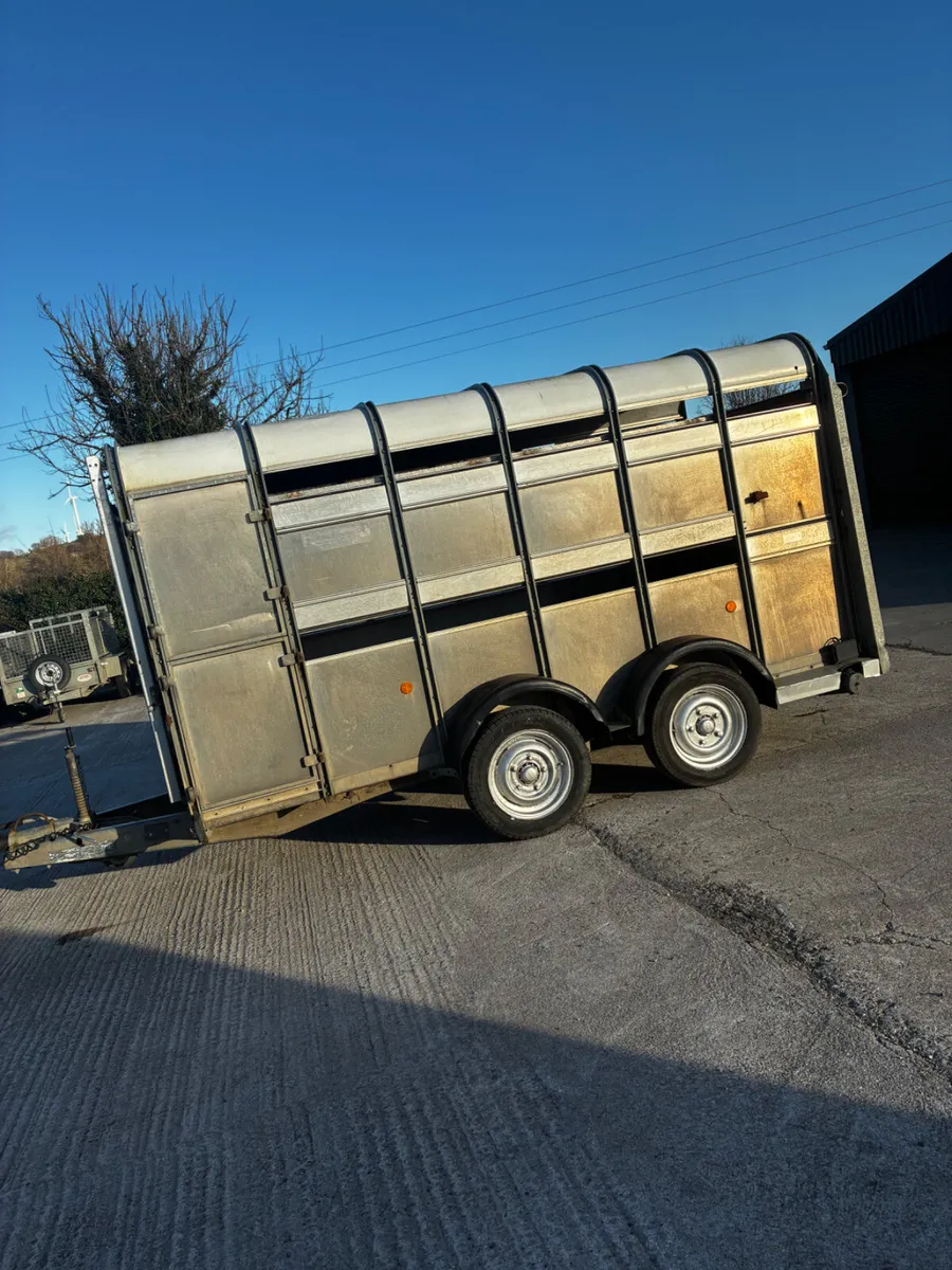 Ifor Williams 12x5 sheep trailer - Image 4