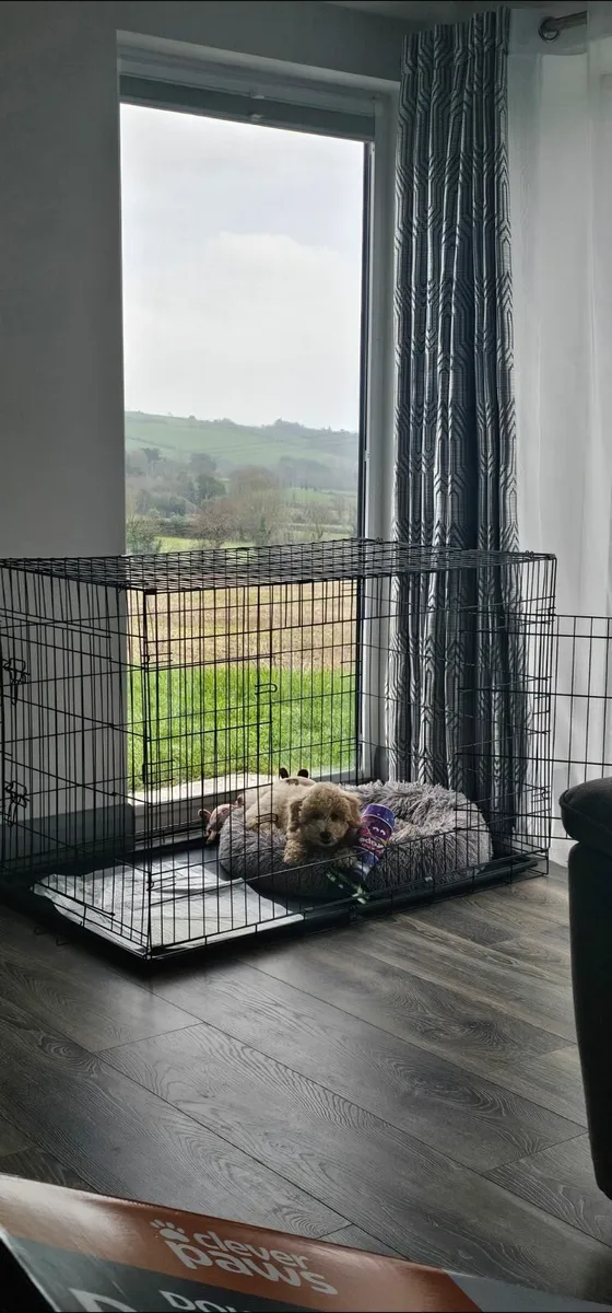 Dog cage - Image 1