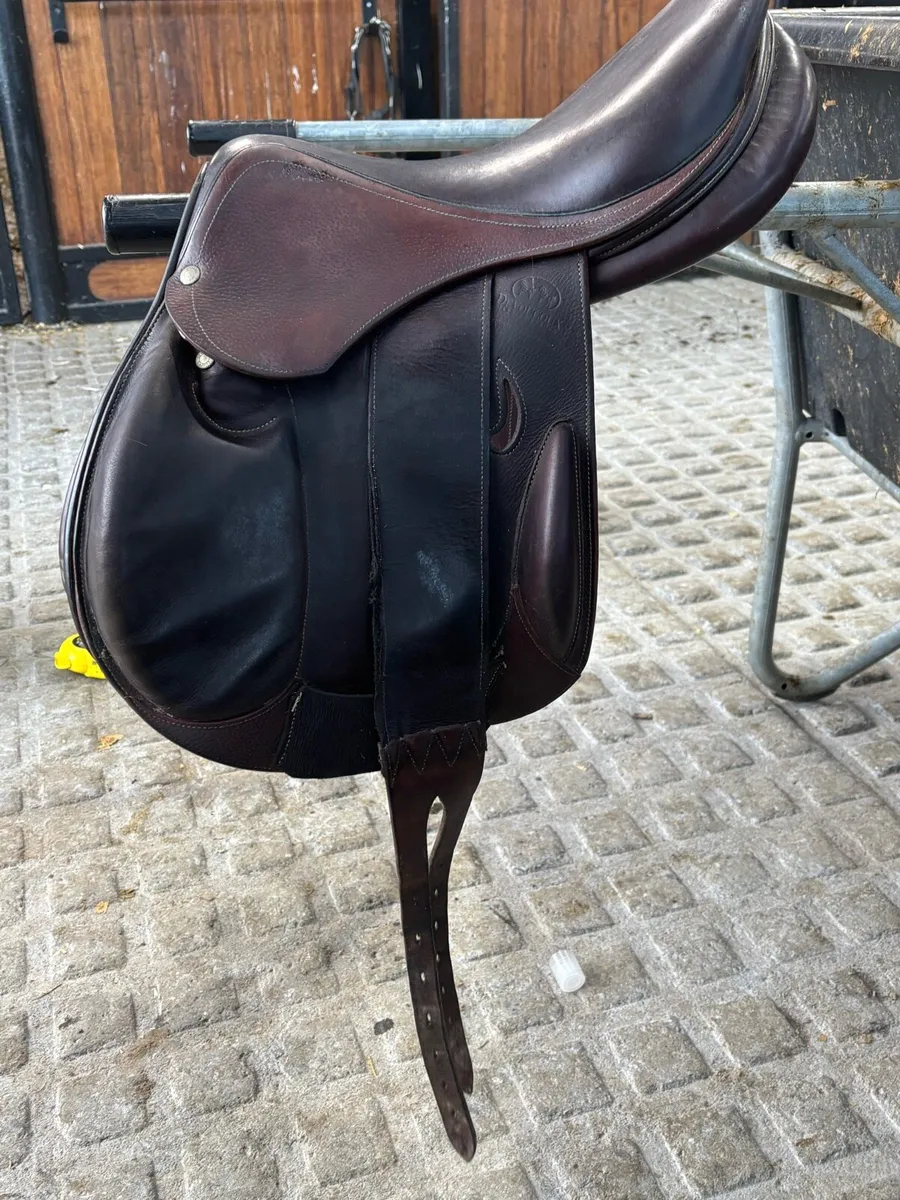 Saddle - Image 1