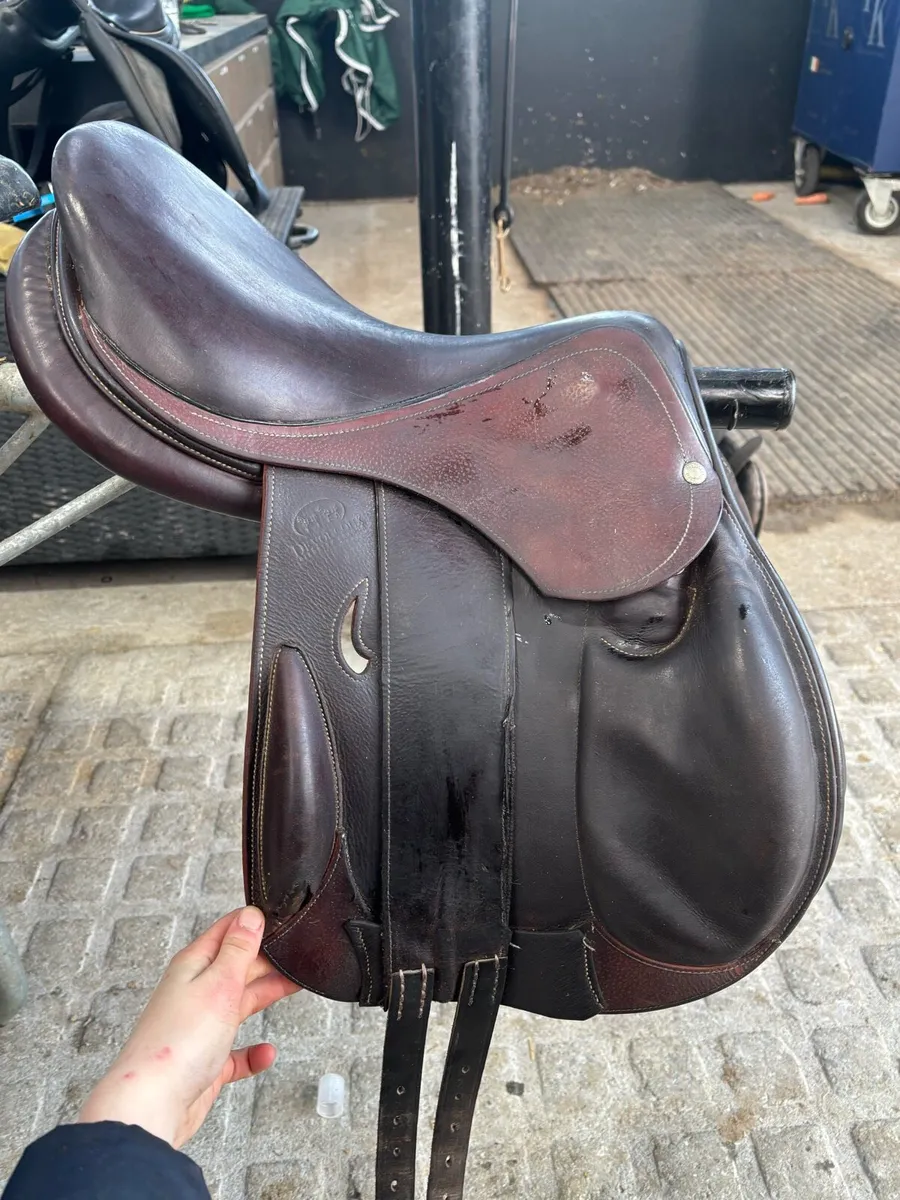 Saddle - Image 2