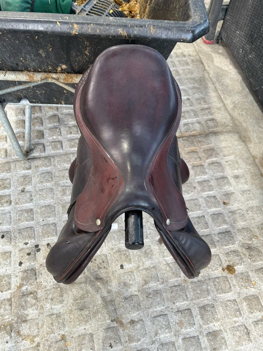 Saddle - Image 3