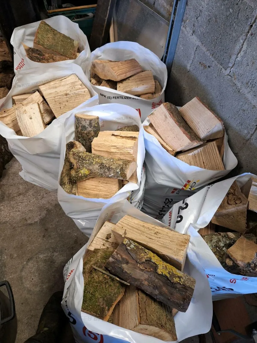 Timber for fire - Image 1