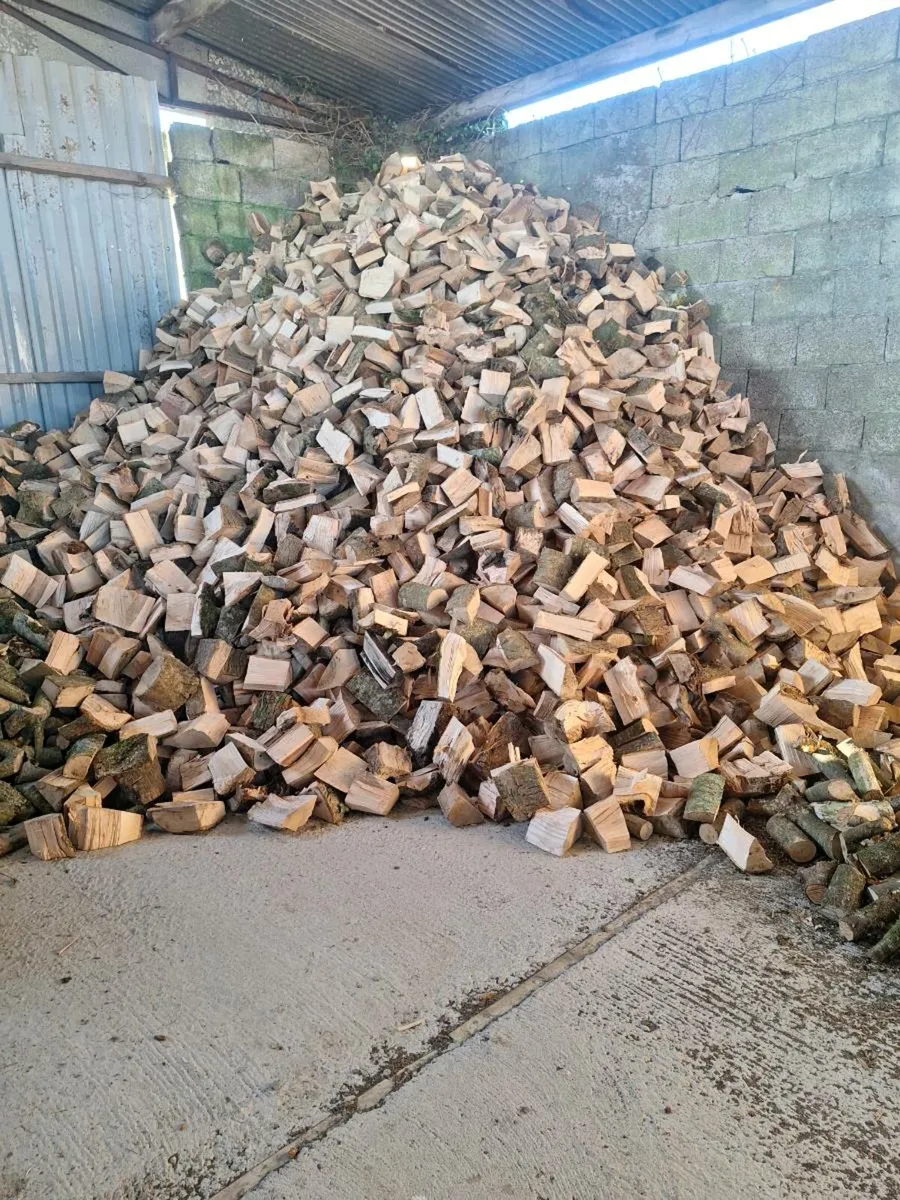 Timber for fire - Image 3