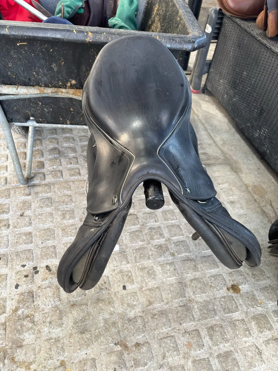 Saddle - Image 2