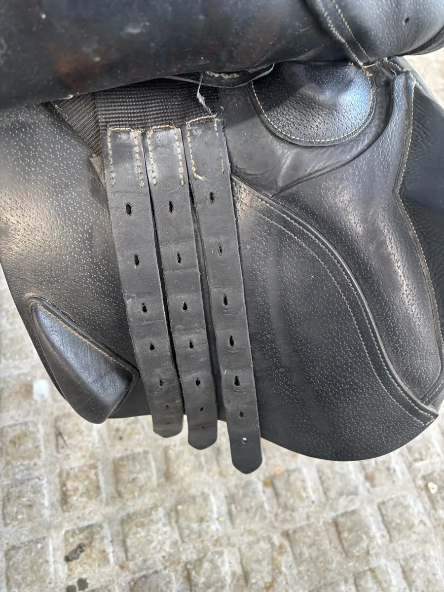 Saddle - Image 4