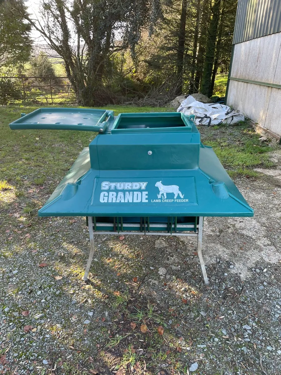 Sturdy Lamb Creep feeder and Hurdles And Hay racks - Image 4