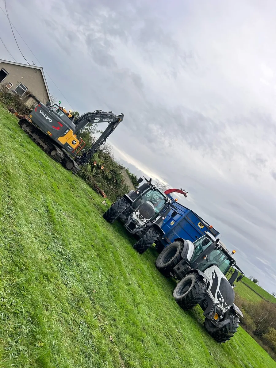 Workers wanted - Tree work - Image 4