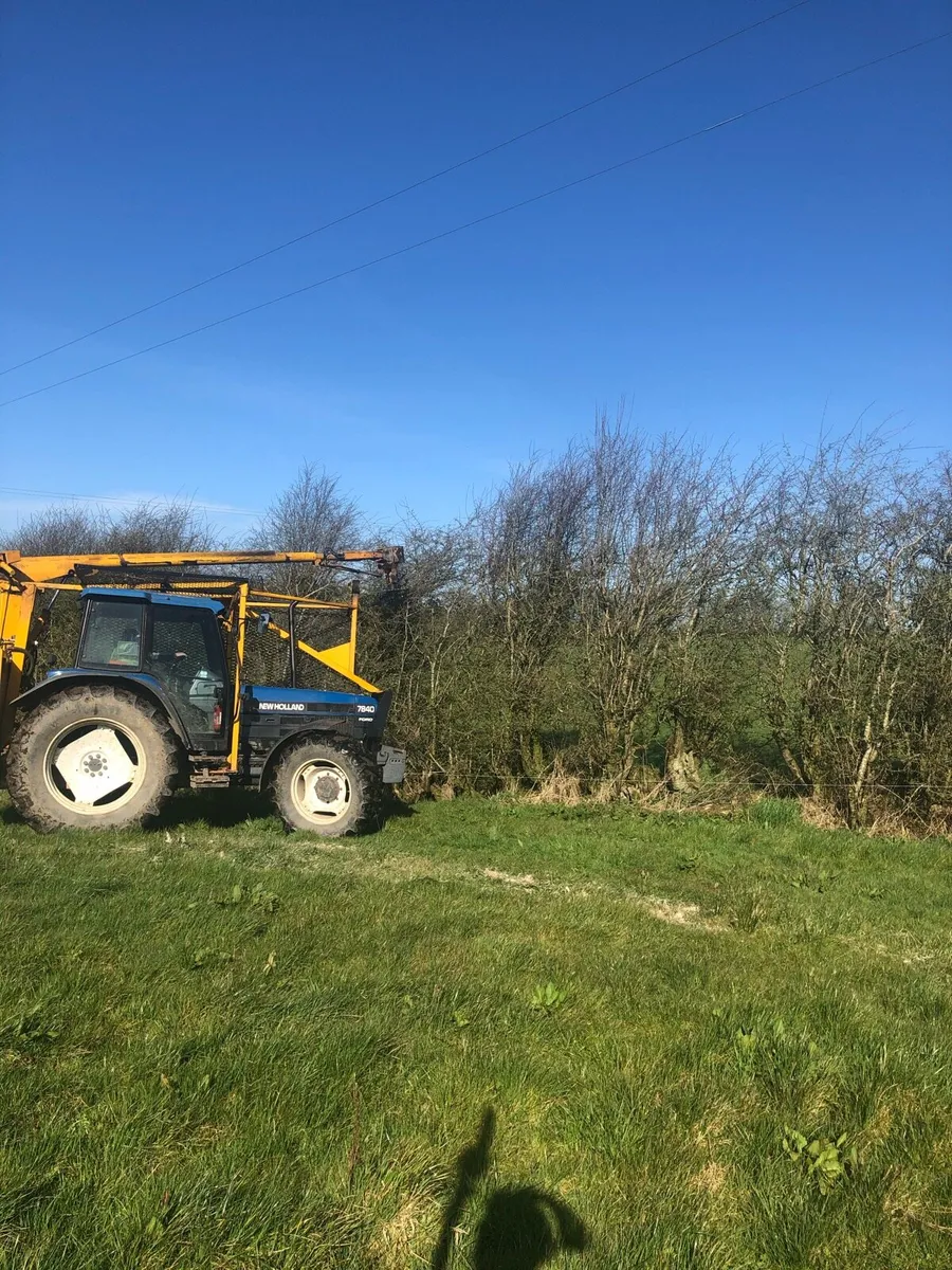 Workers wanted - Tree work - Image 2