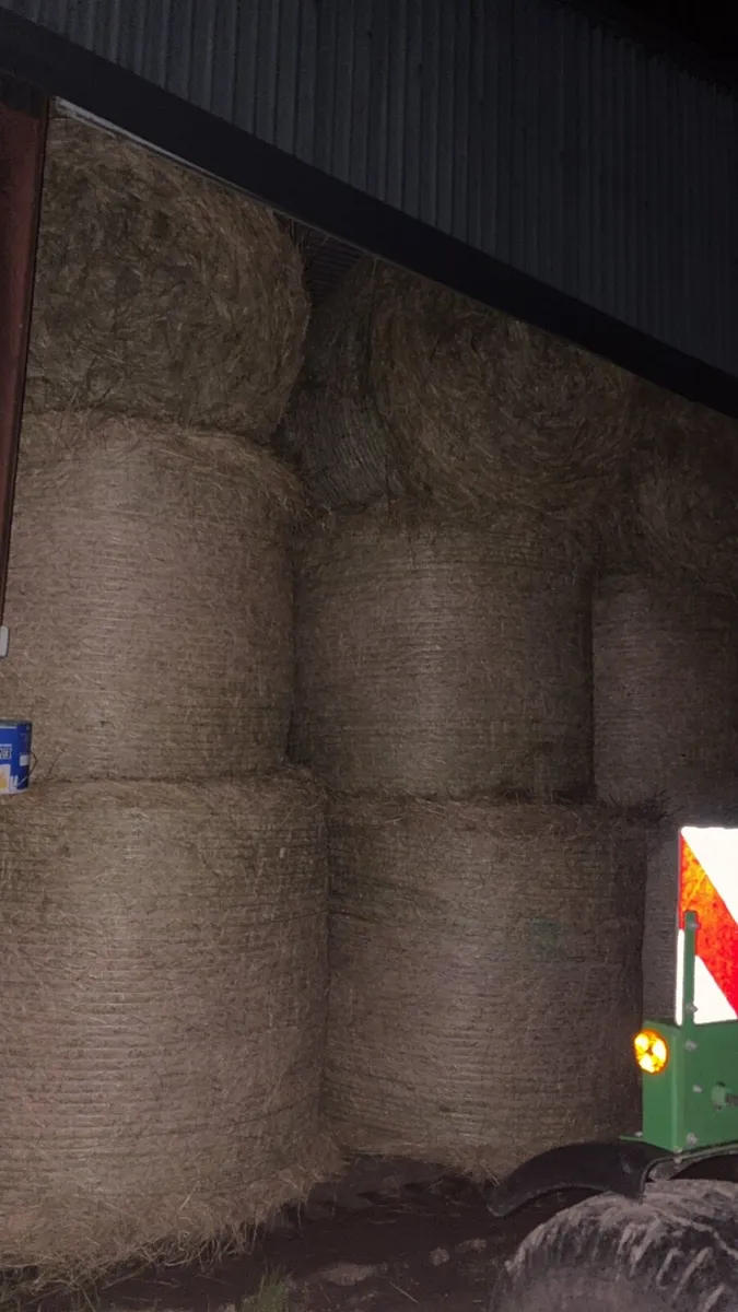 Hay and silage - Image 1
