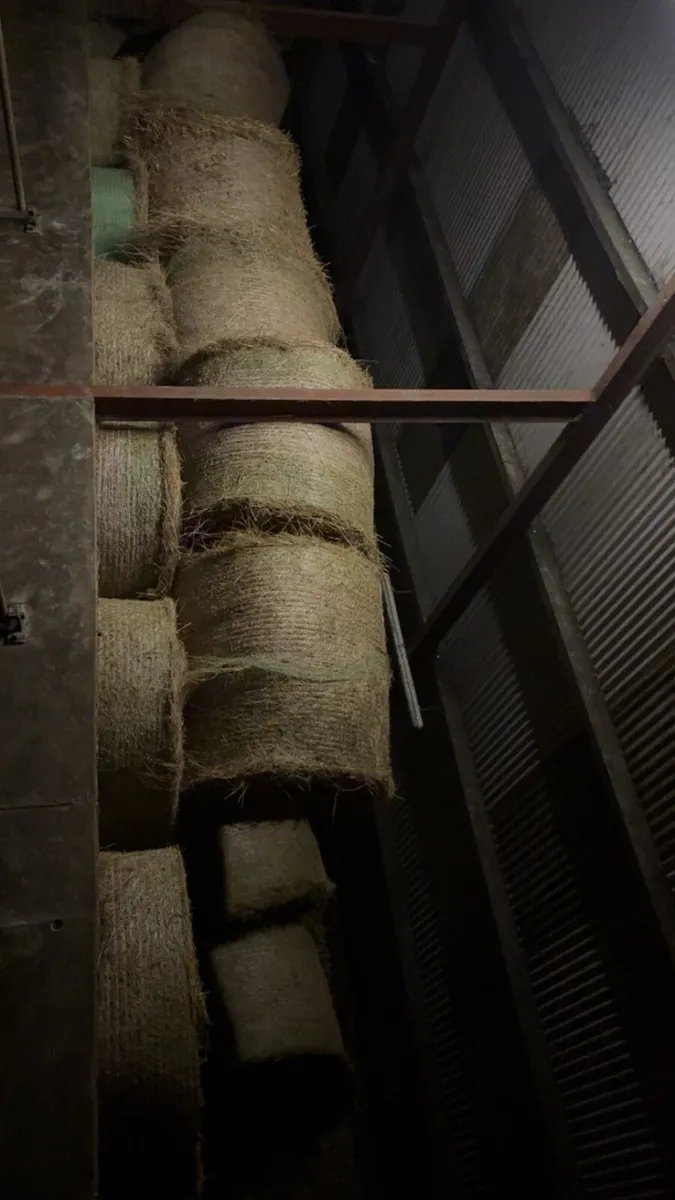 Hay and silage - Image 2