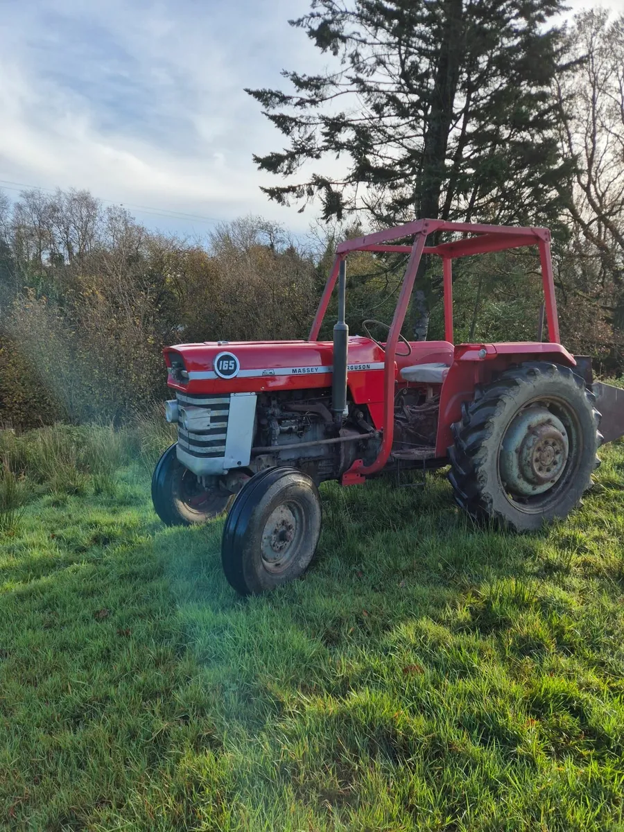 Massey ferguson - Image 2