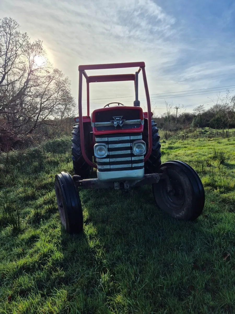 Massey ferguson - Image 4