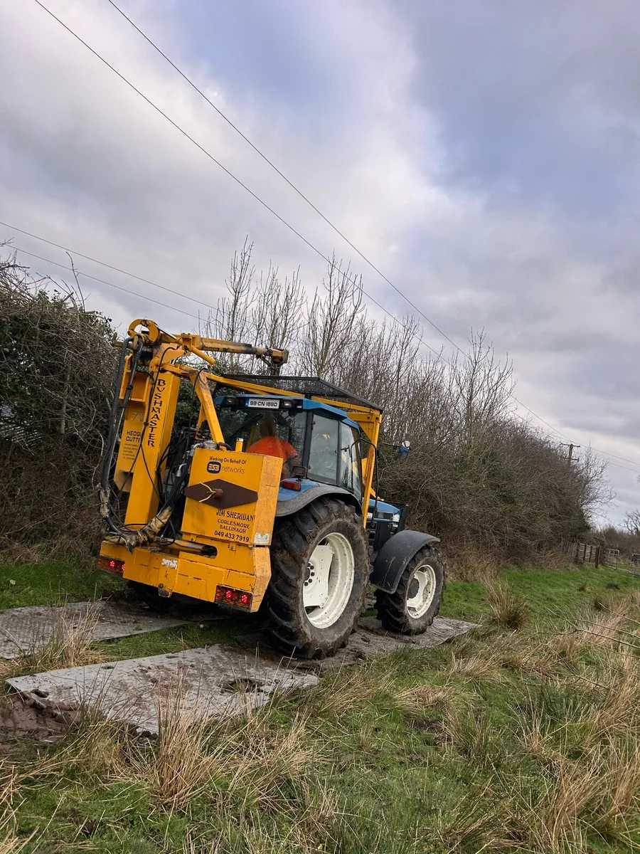 Workers wanted - Tree work - Image 4
