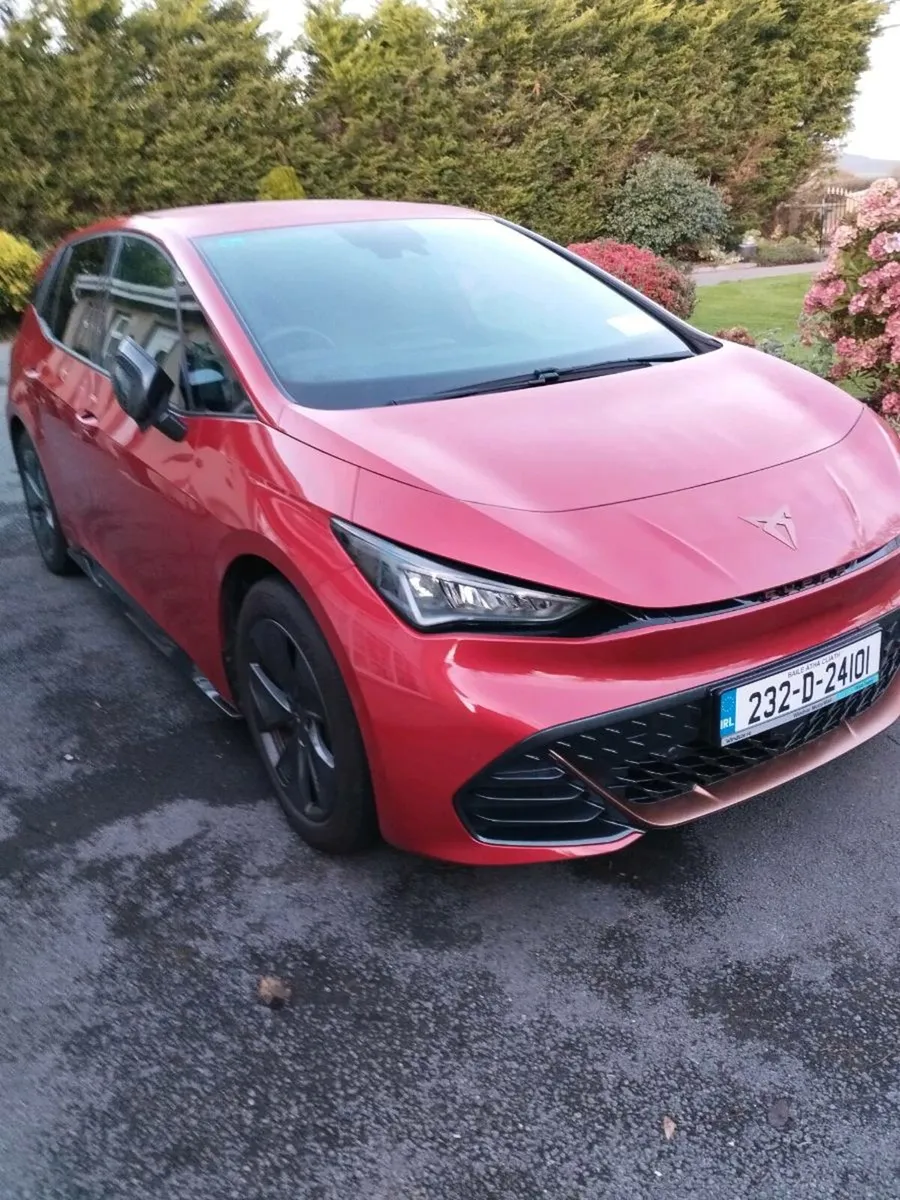 Cubra born with only 7530 kilometres - Image 3