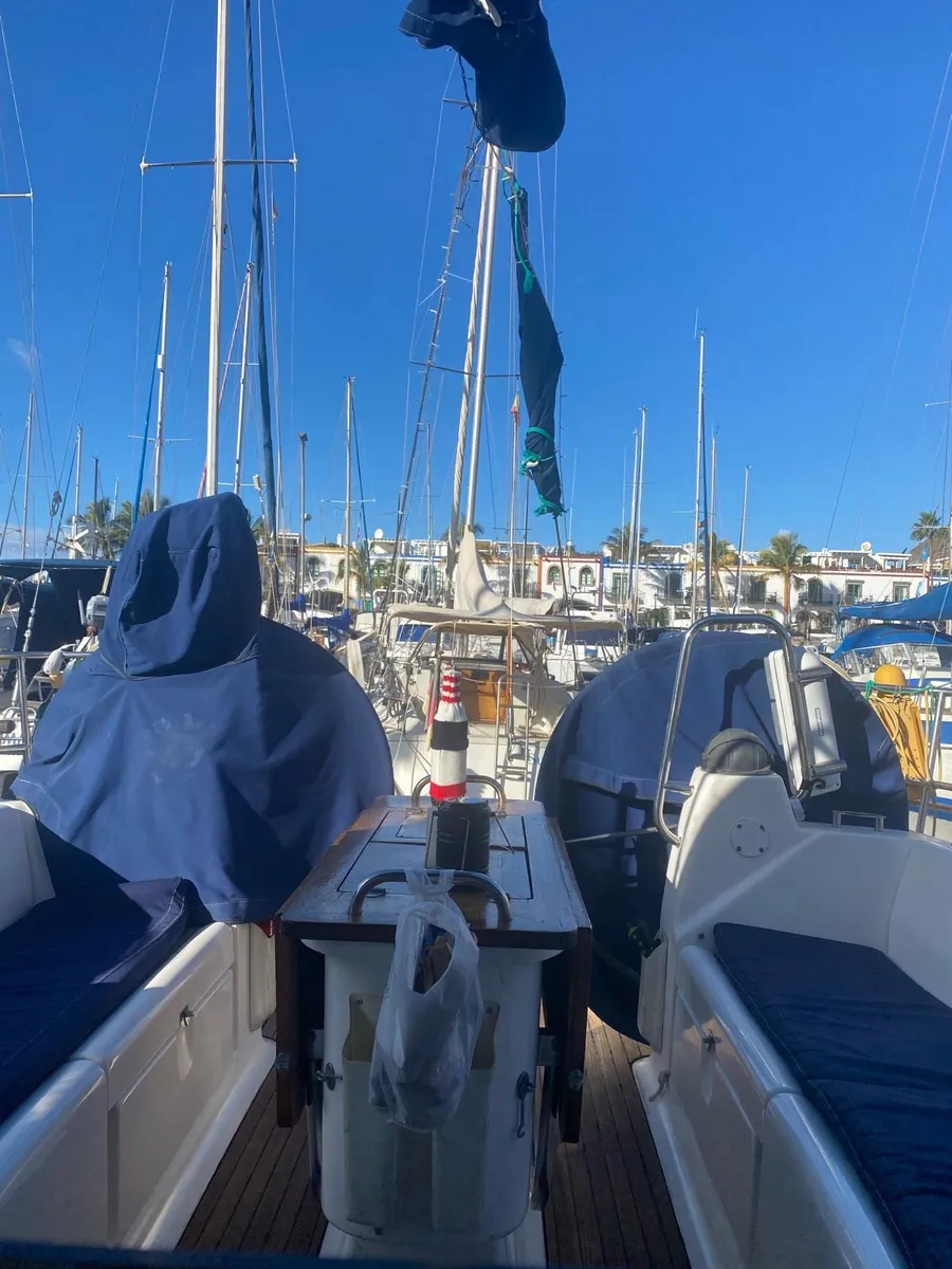 Winter Sunshine - Image 3