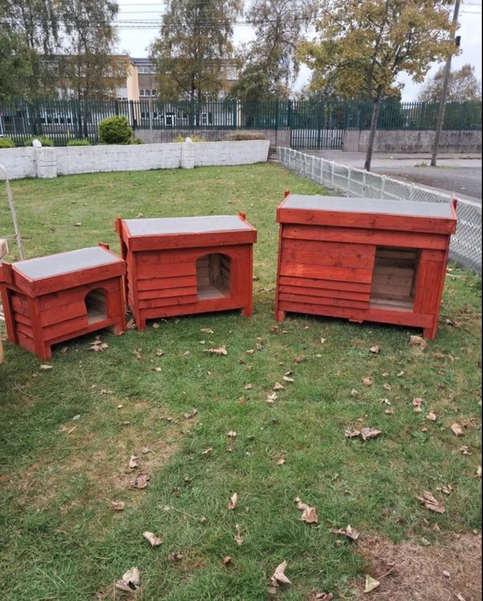 Dog kennels - Image 1