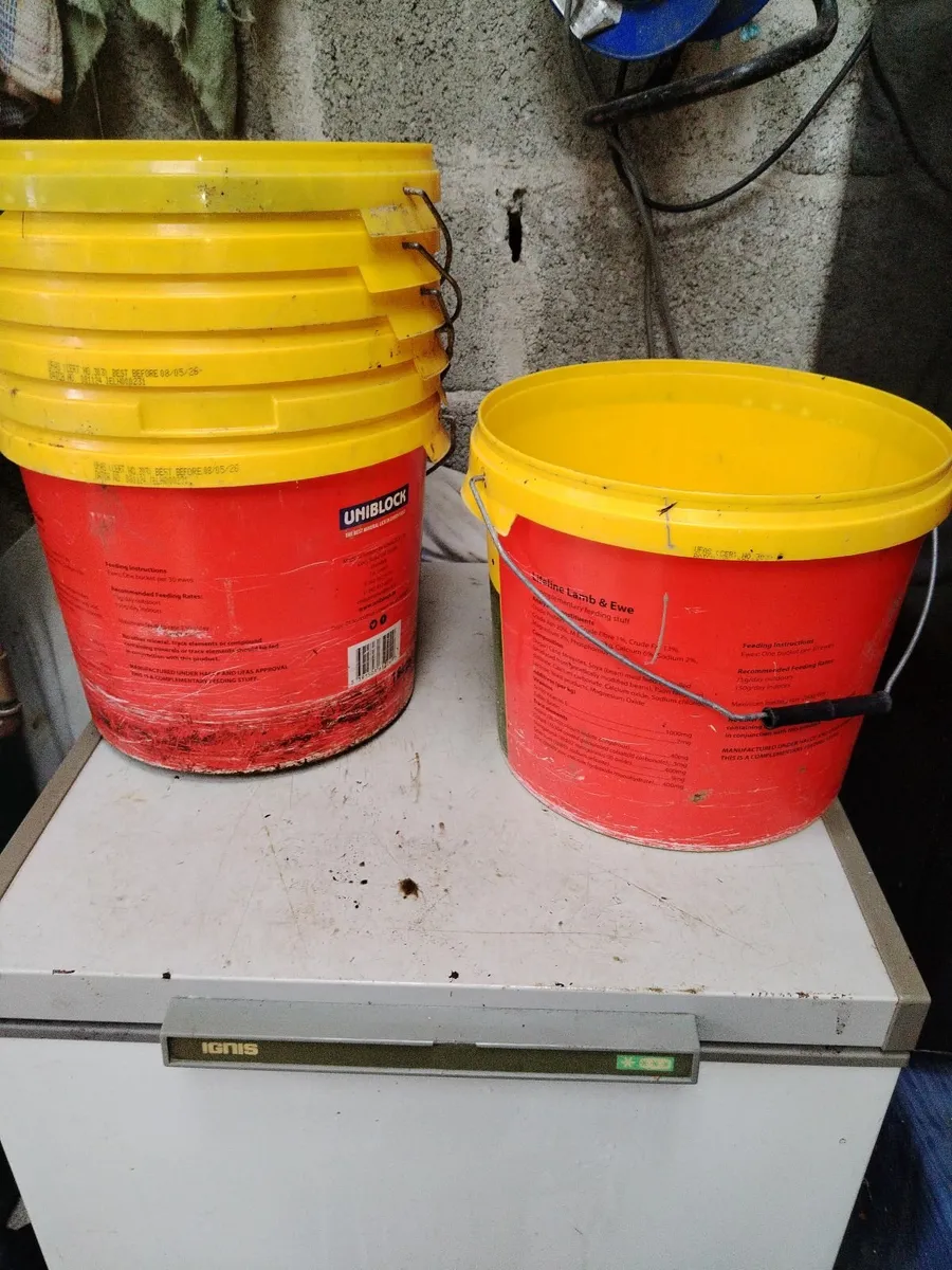 Buckets - Image 1