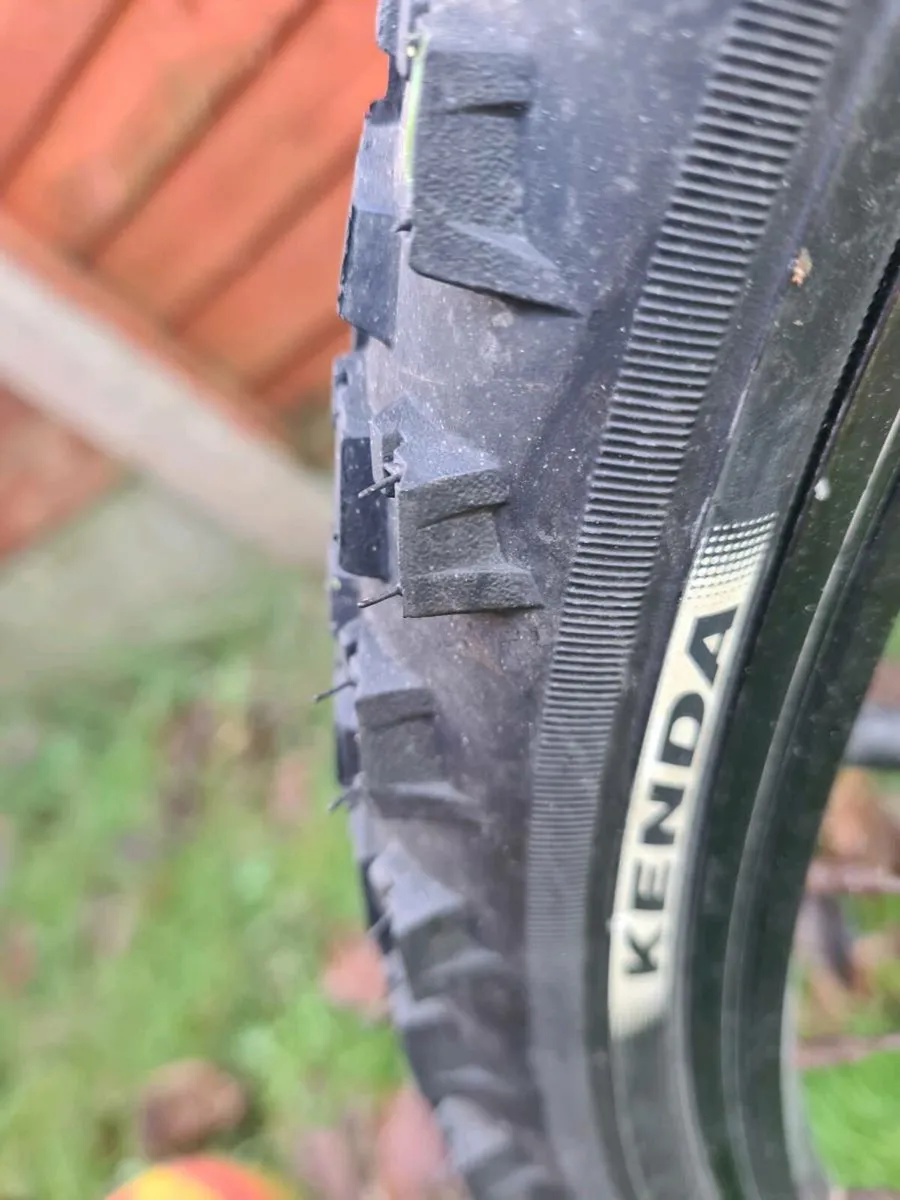 Adult bicycle - Image 4