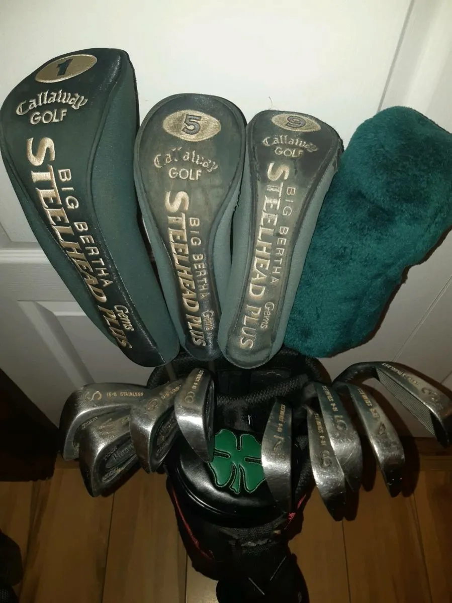 Ladies or Teenagers Complete Full Golf Club Set. - Image 1