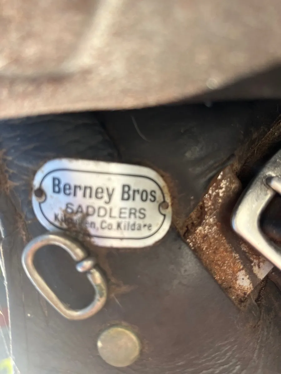 Equestrian Saddle - Image 2