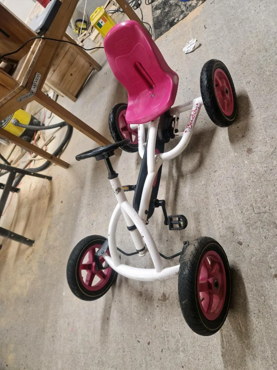 Berg buddy go karts - Image 4