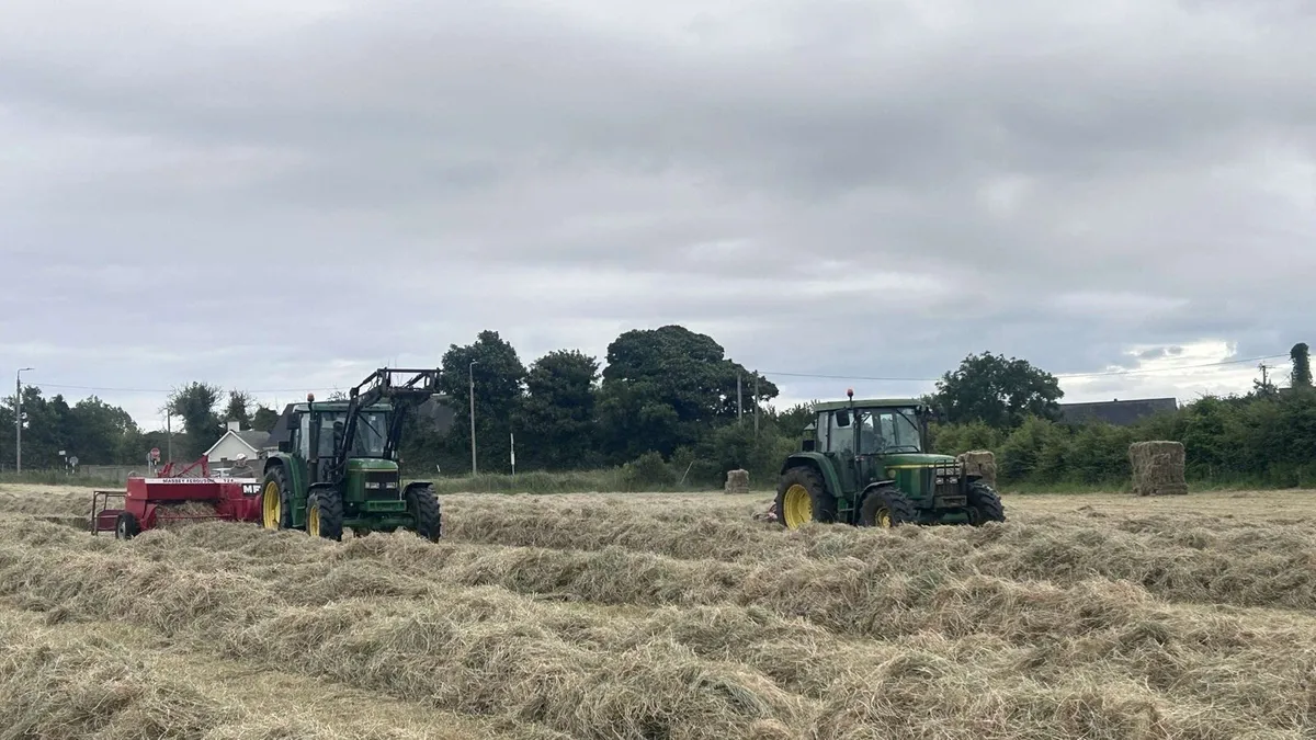 Hay for sale small square and round bales