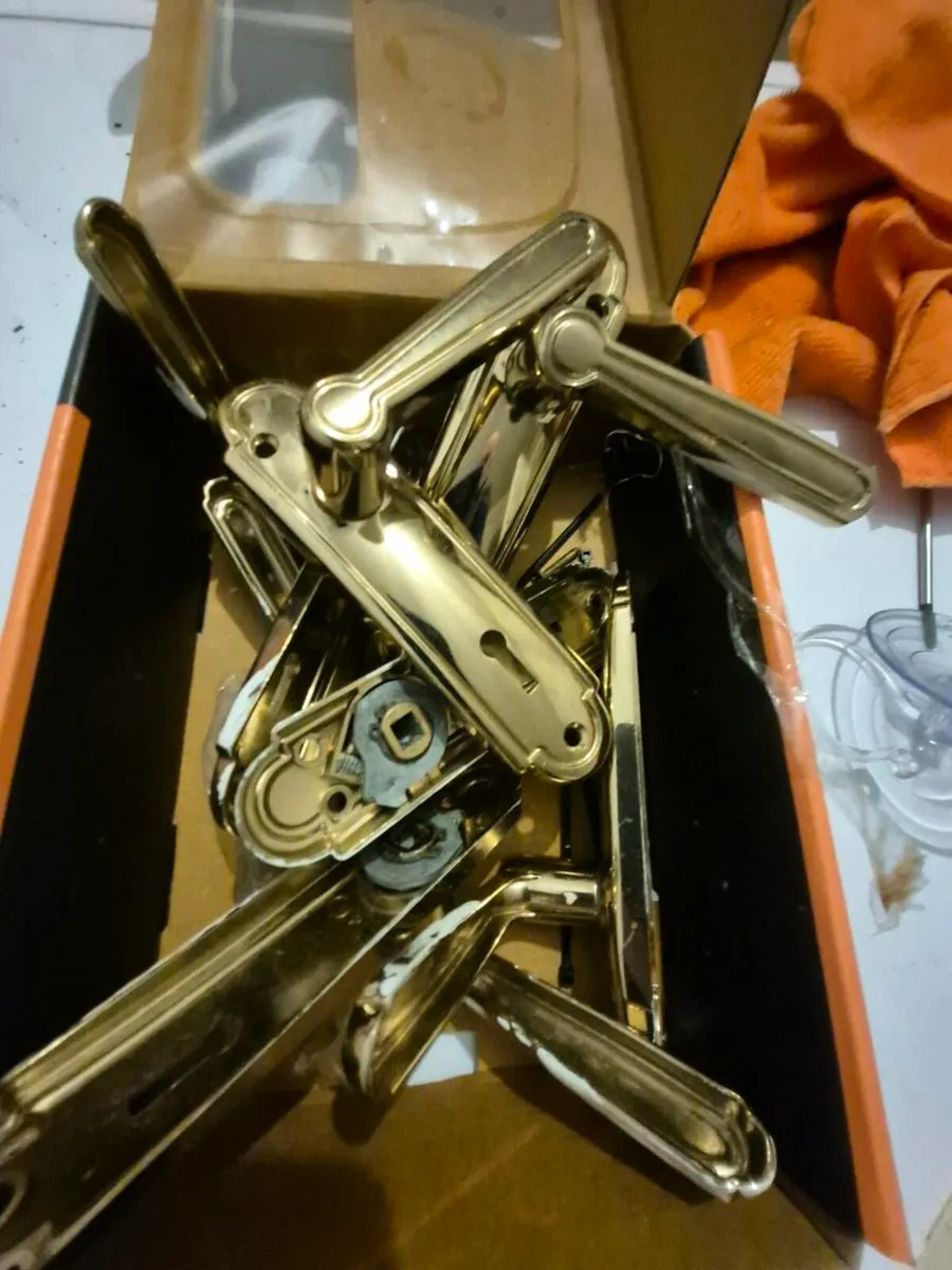 Inside Doors and brass handles FREE OF CHARGE - Image 2