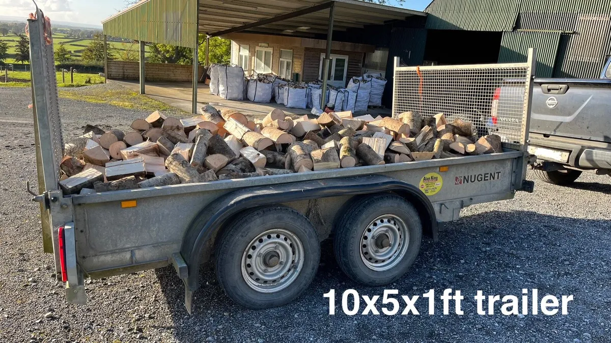 Firewood - Image 1