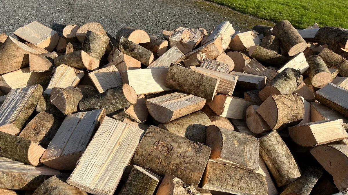Firewood - Image 2