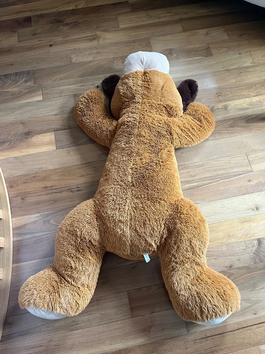 Extra large teddy Freddie - Image 3