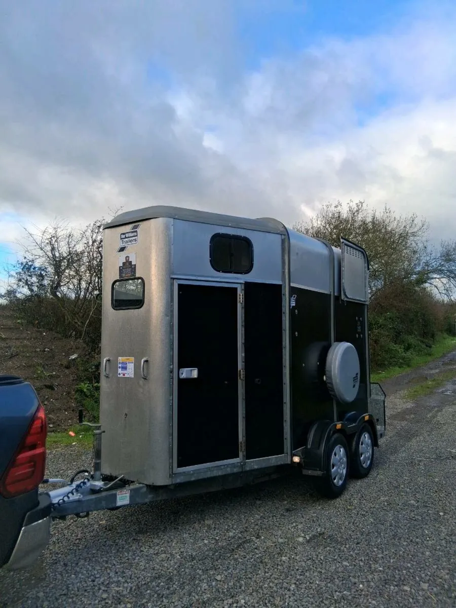 Iforwillams HB505 classic - Image 2